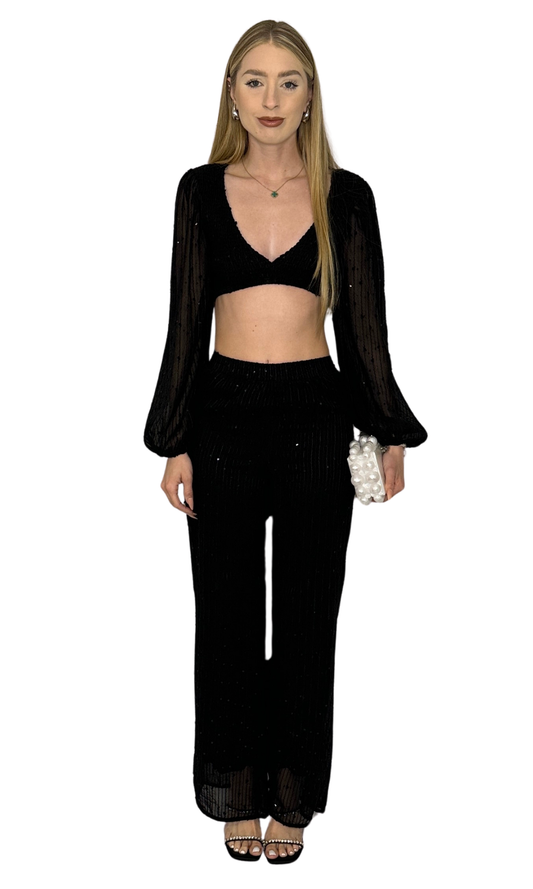 Women's semi-sheer sequin two-piece set with crop top and wide-leg pants – features billowy sleeves, smocked back, and elastic waist for versatile styling