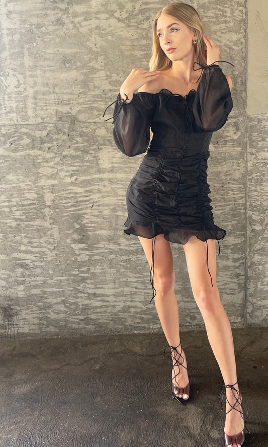 Paula Organza Dress